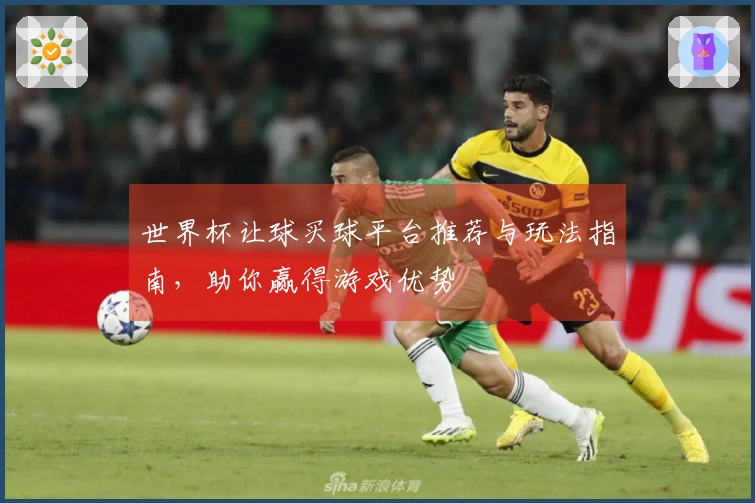 世界杯让球买球平台推荐与玩法指南，助你赢得游戏优势