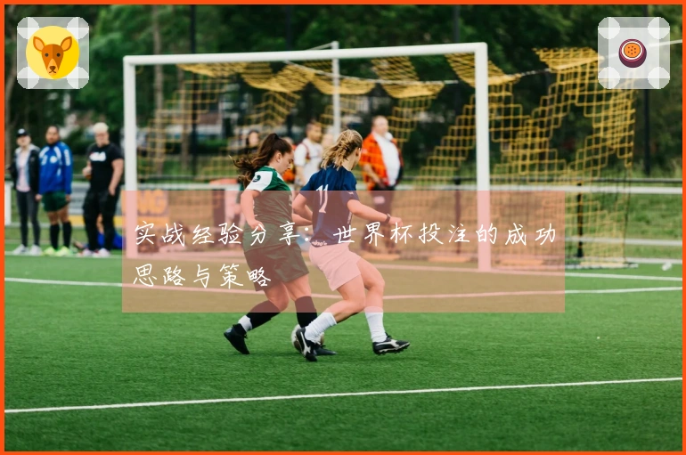 实战经验分享：世界杯投注的成功思路与策略