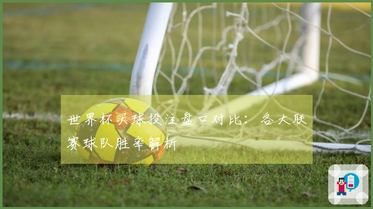 世界杯买球投注盘口对比：各大联赛球队胜率解析