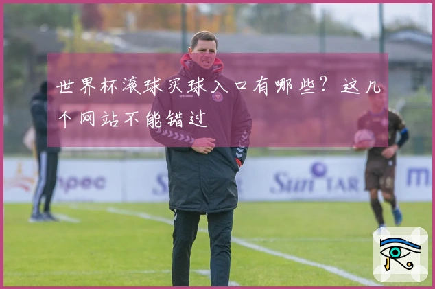 世界杯滚球买球入口有哪些？这几个网站不能错过