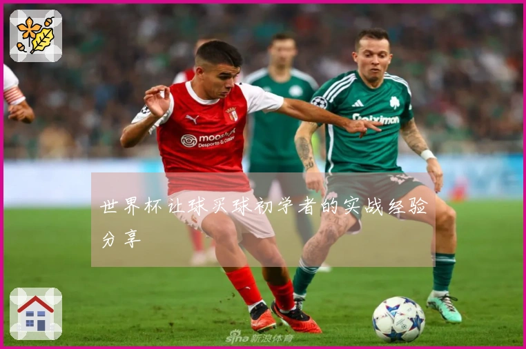 世界杯让球买球初学者的实战经验分享