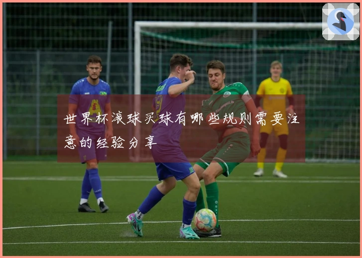 世界杯滚球买球有哪些规则需要注意的经验分享