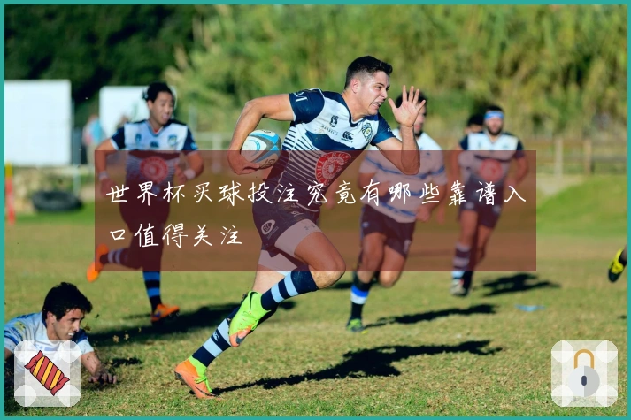 世界杯买球投注究竟有哪些靠谱入口值得关注
