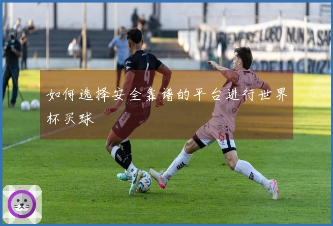 如何选择安全靠谱的平台进行世界杯买球