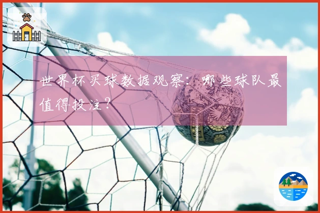 世界杯买球数据观察：哪些球队最值得投注？