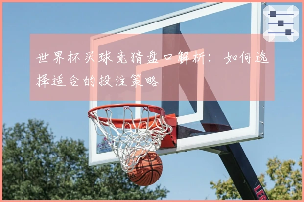 世界杯买球竞猜盘口解析：如何选择适合的投注策略