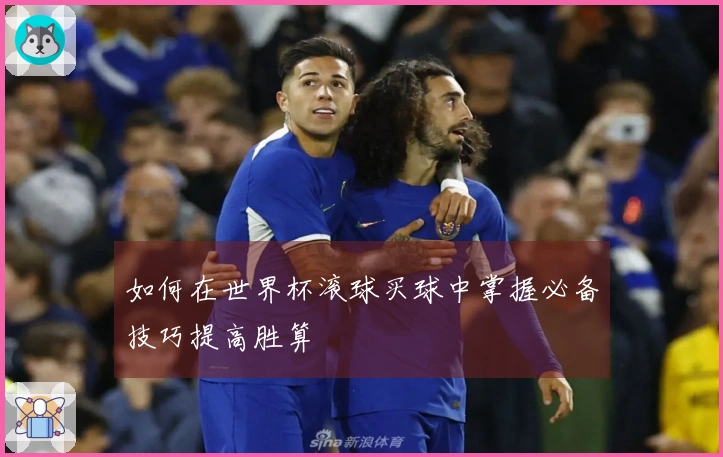 如何在世界杯滚球买球中掌握必备技巧提高胜算