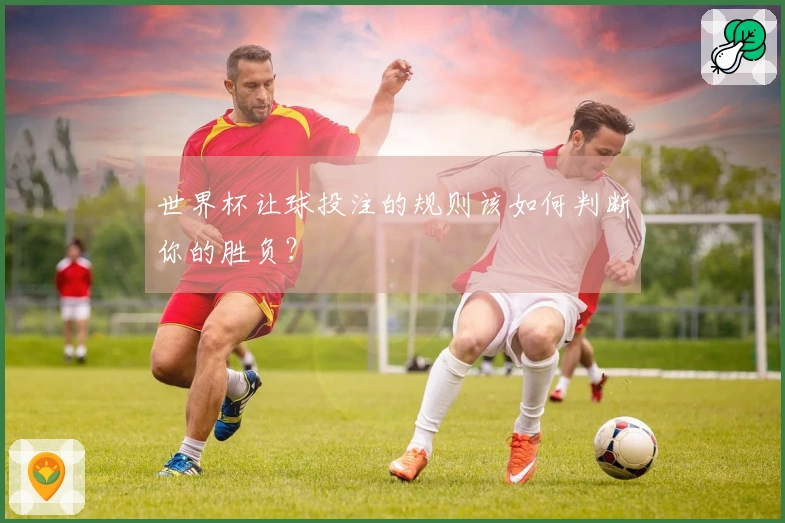 世界杯让球投注的规则该如何判断你的胜负？