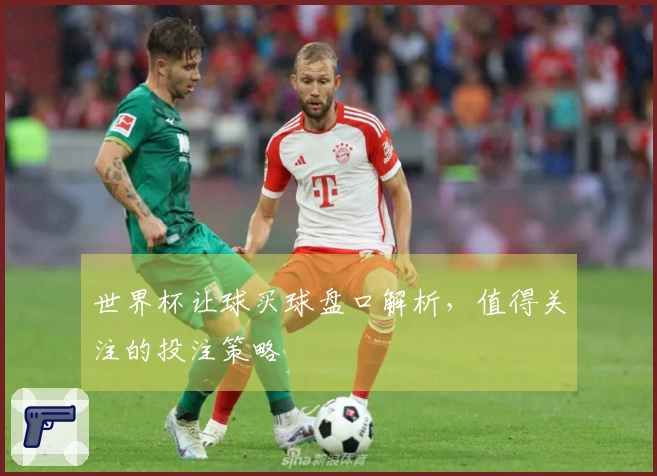 世界杯让球买球盘口解析，值得关注的投注策略