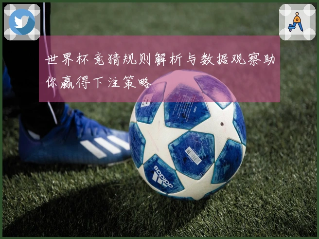 世界杯竞猜规则解析与数据观察助你赢得下注策略