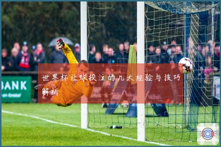 世界杯让球投注的几大经验与技巧解析