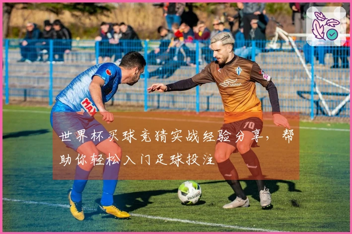 世界杯买球竞猜实战经验分享，帮助你轻松入门足球投注