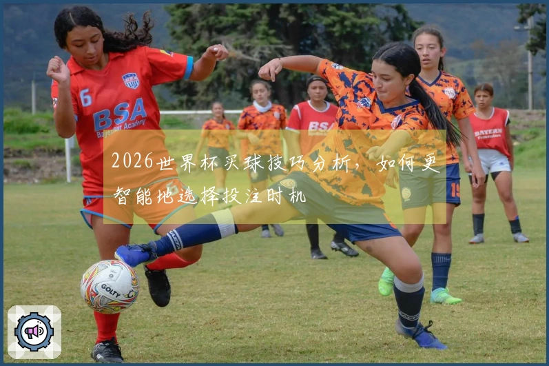 2026世界杯买球技巧分析，如何更智能地选择投注时机
