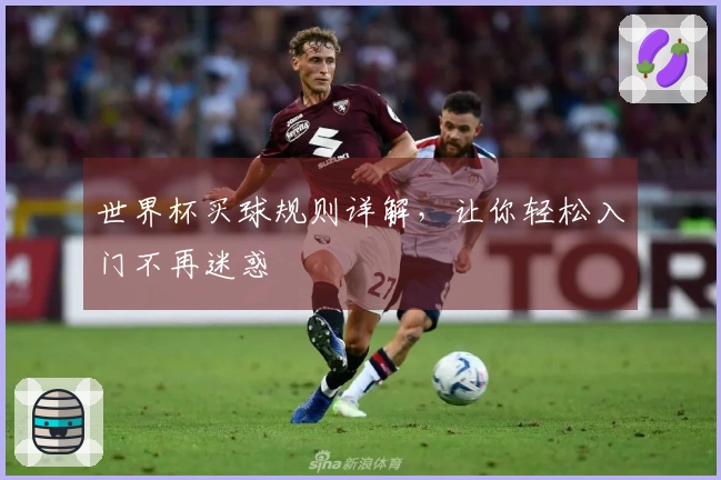世界杯买球规则详解，让你轻松入门不再迷惑
