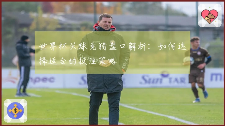 世界杯买球竞猜盘口解析：如何选择适合的投注策略