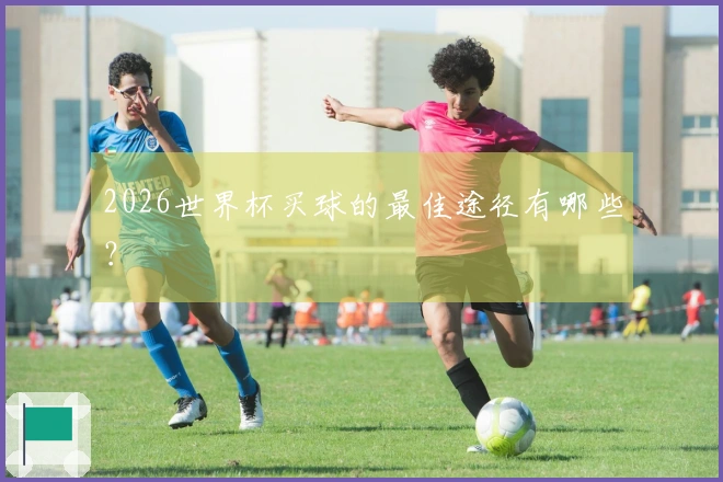 2026世界杯买球的最佳途径有哪些？