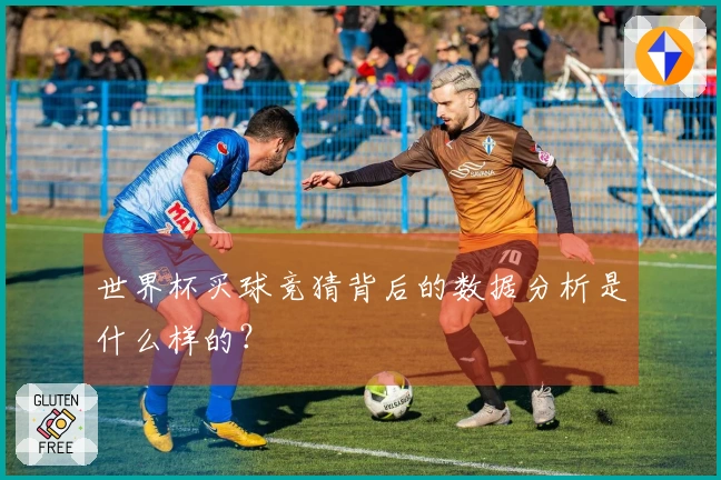世界杯买球竞猜背后的数据分析是什么样的？