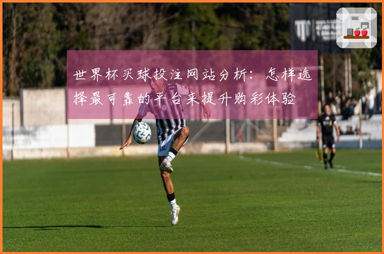 世界杯买球投注网站分析：怎样选择最可靠的平台来提升购彩体验