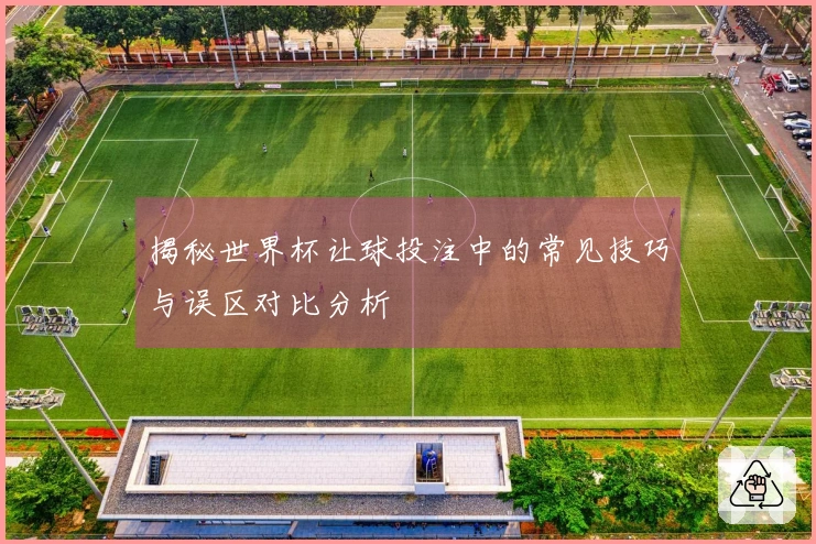 揭秘世界杯让球投注中的常见技巧与误区对比分析
