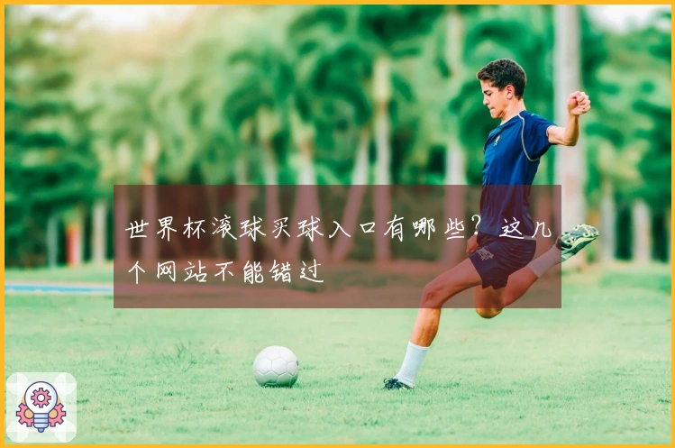 世界杯滚球买球入口有哪些？这几个网站不能错过