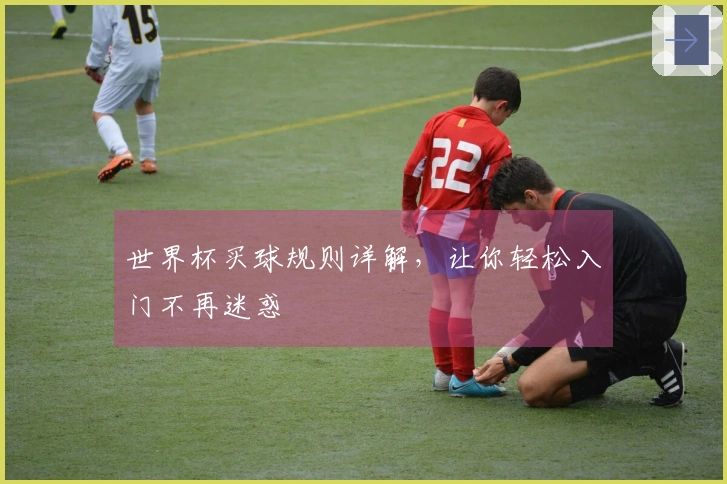 世界杯买球规则详解，让你轻松入门不再迷惑