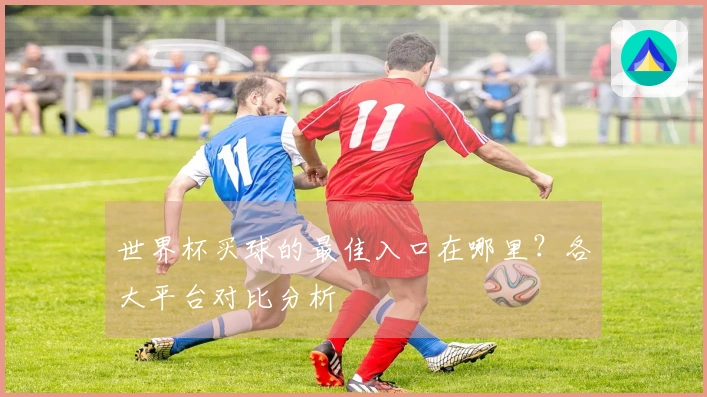世界杯买球的最佳入口在哪里？各大平台对比分析