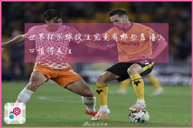 世界杯买球投注究竟有哪些靠谱入口值得关注