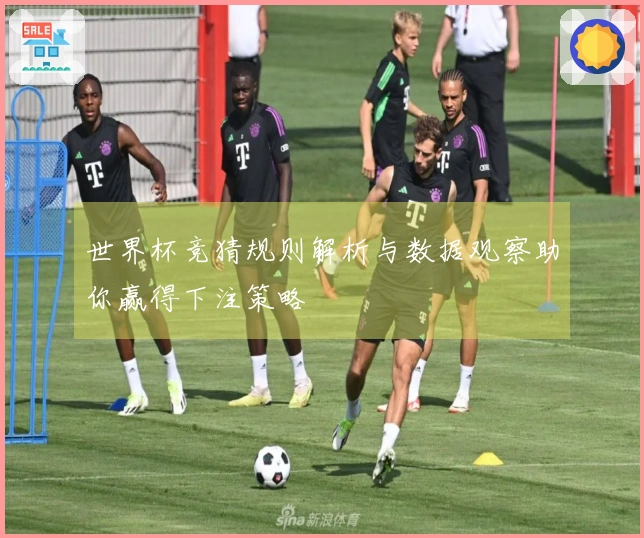 世界杯竞猜规则解析与数据观察助你赢得下注策略