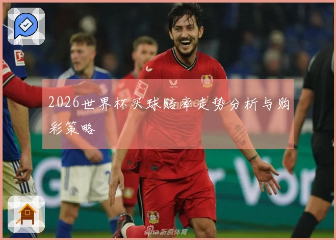 2026世界杯买球赔率走势分析与购彩策略